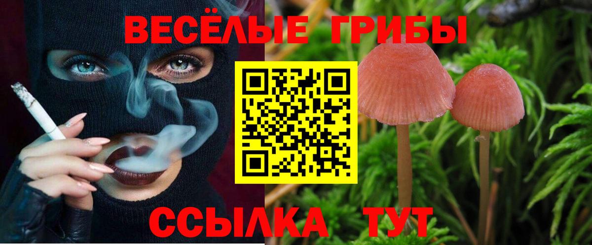 Псилоцибиновые грибы Psilocybe  Вход с VPN  Псилоцибиновые грибы Psilocybine cubensis  Балашиха 